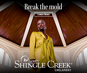 RSC-Meetings FY25-CIT-10.1.25 ROS Banner AV_300x250