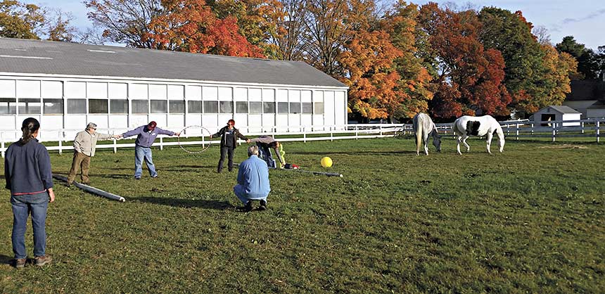 Berkshire HorseWorks specializes in equine-assisted personal development programs designed to help employees learn how to work together toward a common goal and/or to adapt to a new management style. Credit: Berkshire HorseWorks