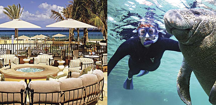 High-end to high touch: Overlooking the Atlantic at Eau Palm Beach Resort & Spa on the island of Palm Beach; and communing with manatees in the Crystal River National Wildlife Refuge, accessible through snorkel tours at Plantation on Crystal River. Credit: Eau Palm Beach Resort & Spa Credit: Plantation on Crystal River