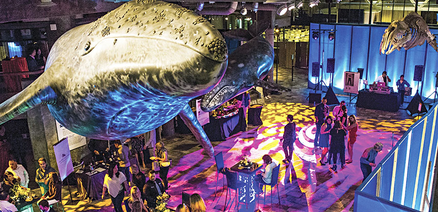 The 2015 Cooking For Solutions Gala at the Monterey Bay Aquarium