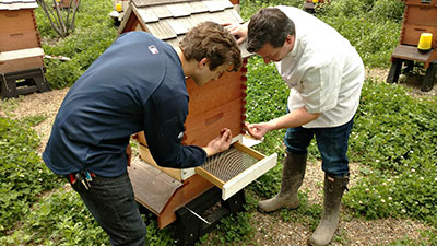 Collecting honey at at the onsite farm.