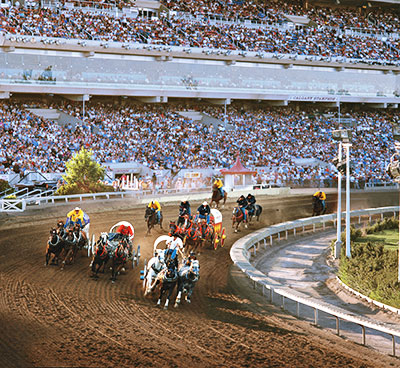 Don your white cowboy hat and enjoy the Chuckwagon races. Credit: Calgary Stampede