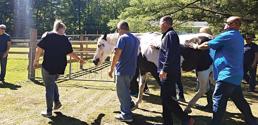 MassMutual Life Insurance Company held a teambuilding event with horses at Berkshire HorseWorks’ ranch in Richmond, Massachusetts. Credit: Berkshire HorseWorks