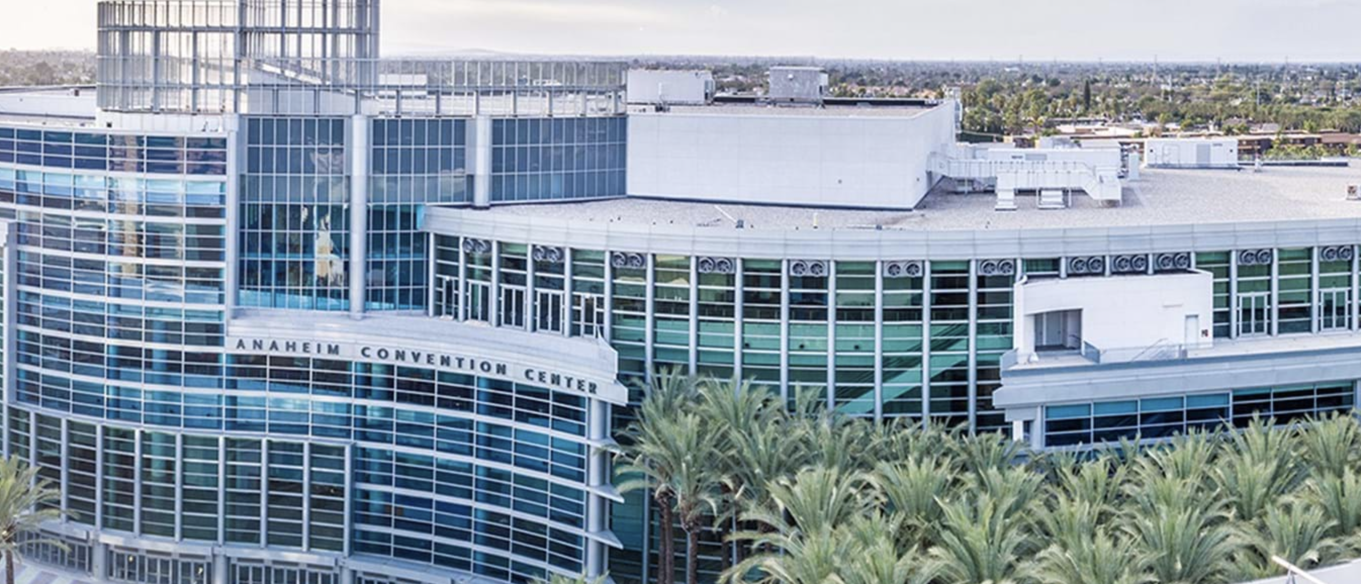 Screen Shot 2020-06-11 at 12.18.02 PM