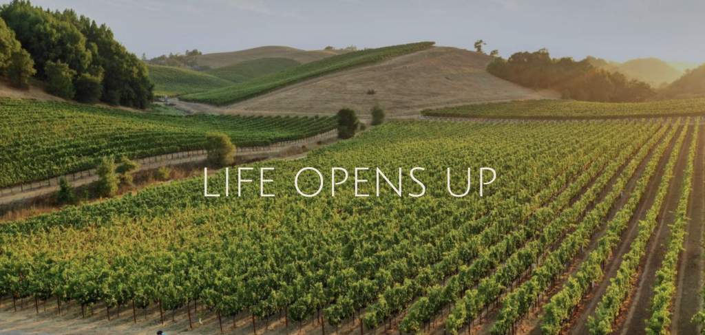 Screen Shot 2020-06-30 at 10.20.07 AM