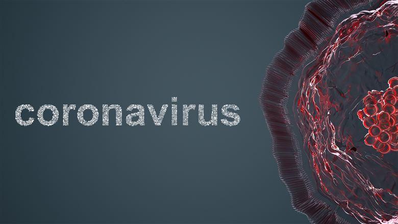 coronavirus_39x22