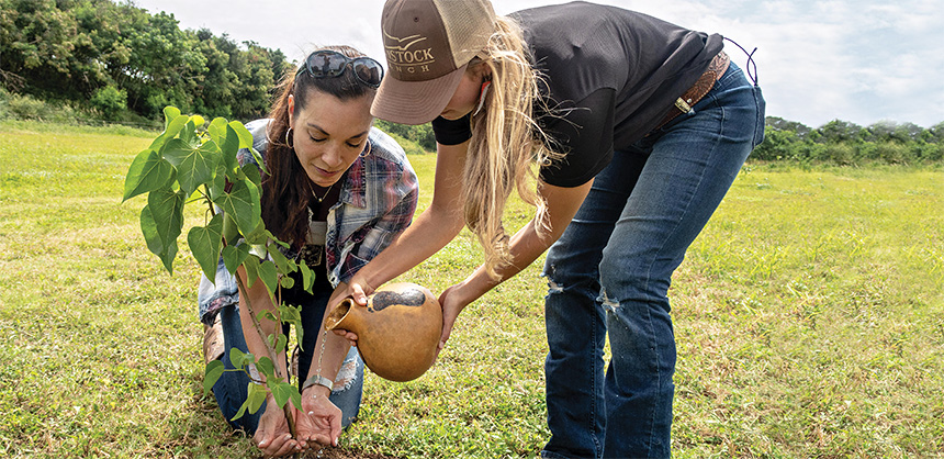 Teri Orton, general manager of the Hawaii Convention Center, plants a tree as part of the center’s partnership with the Hawaii Legacy Reforestation Initiative.