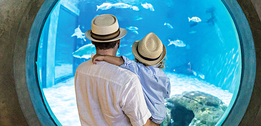 Photo by Zack Smith / Courtesy of New Orleans & Company