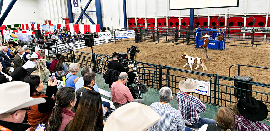 The National Cattlemen’s Beef Association‘s 2022 Cattle Industry Convention & Trade Show, held early this year, was another event that brought thousands of attendees to Houston. Photo Courtesy of CattleCon 2022