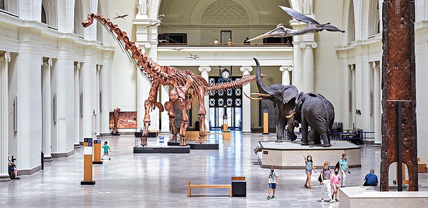 With nearly half a million sf overall, the Field Museum in Chicago, Illinois, can fit your meeting needs. Courtesy Photo