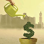 Woman watering the money trees outdoors