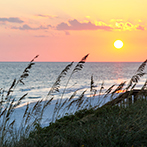 CIT-Florida-147px