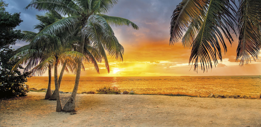 Sunny skies and endless options await in Florida, making it a top choice for meeting planners. Photo courtesy of ©Adobe stock/susanne2688