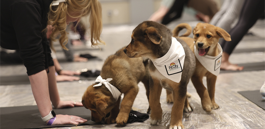PCMA’s Puppy Park has led to many pet adoptions. Photo courtesy of Whatever Media Group
